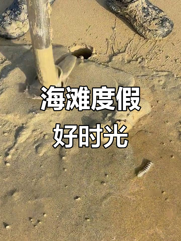 乐趣沙滩攻略(乐趣沙滩攻略游戏)