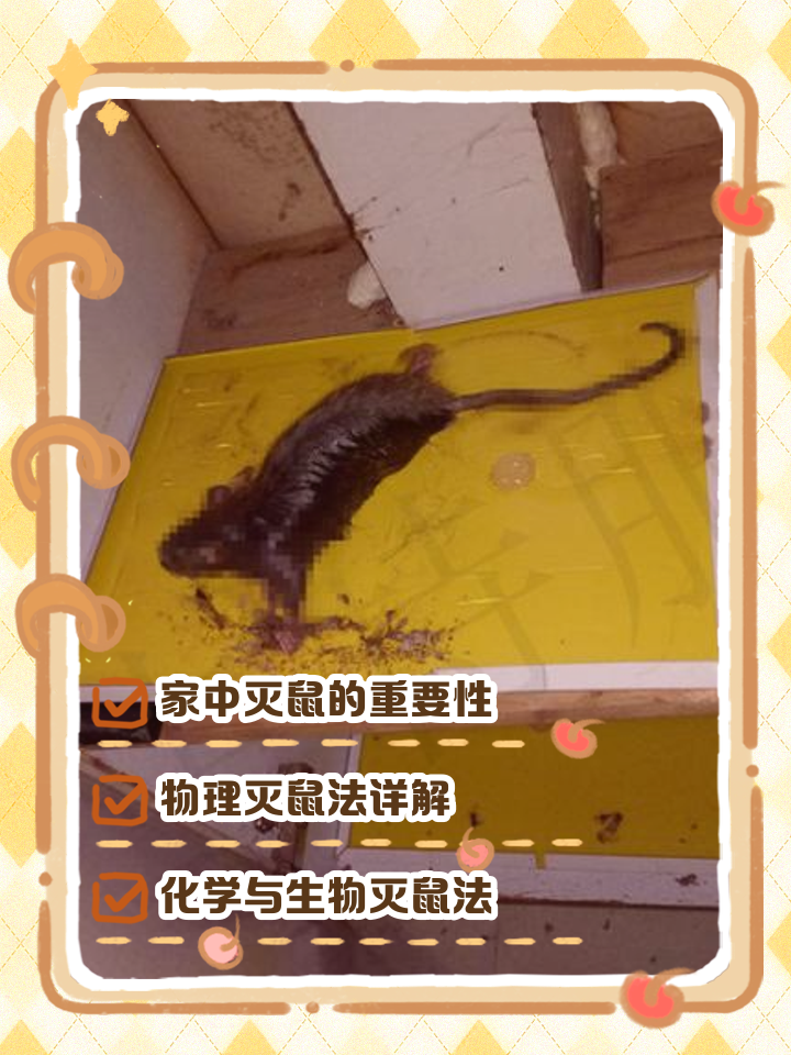 家中灭鼠游戏攻略(家里灭鼠后如何消毒)