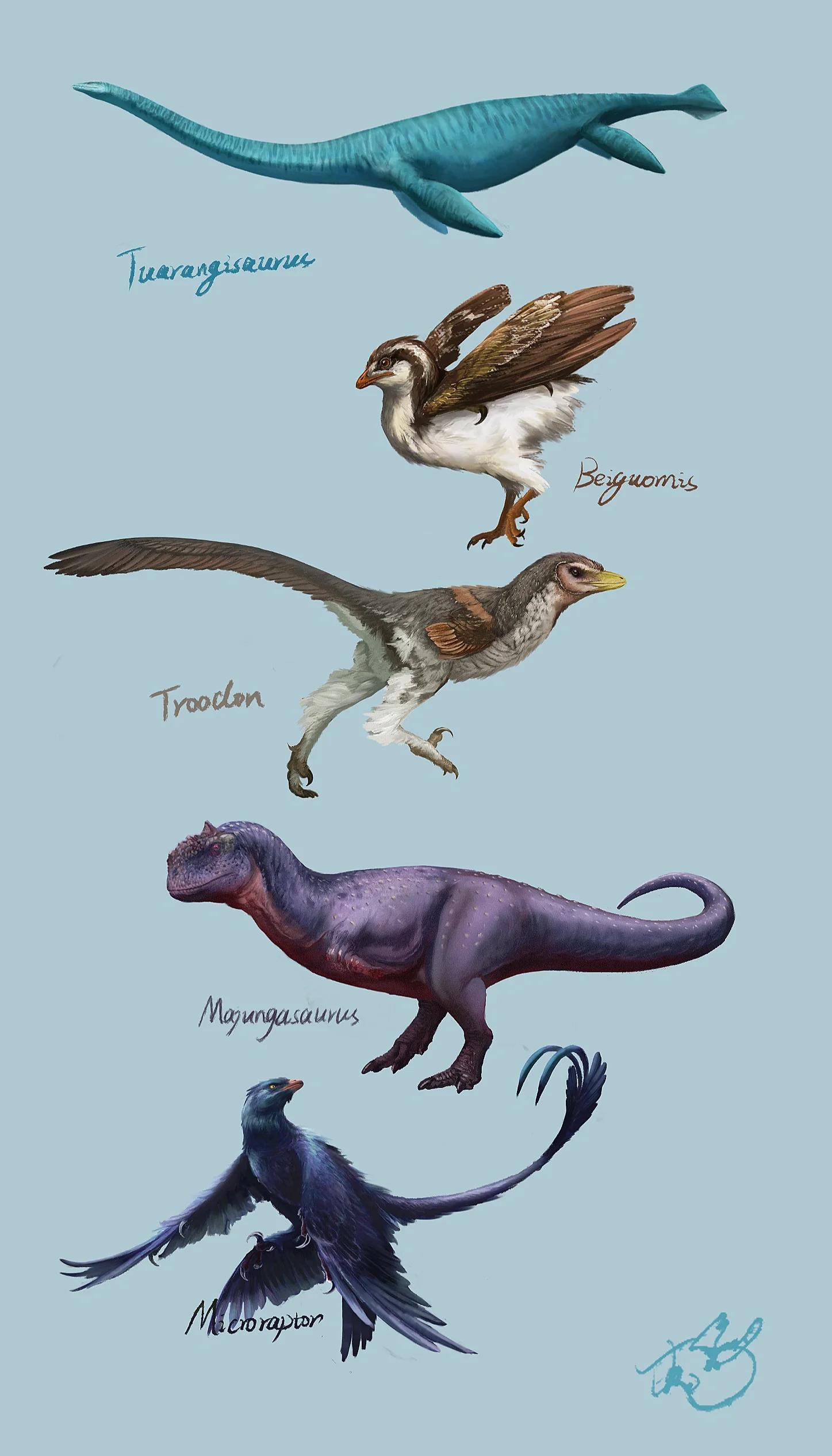 古生物放置终极破解版(生命简史古生物放置国际服)