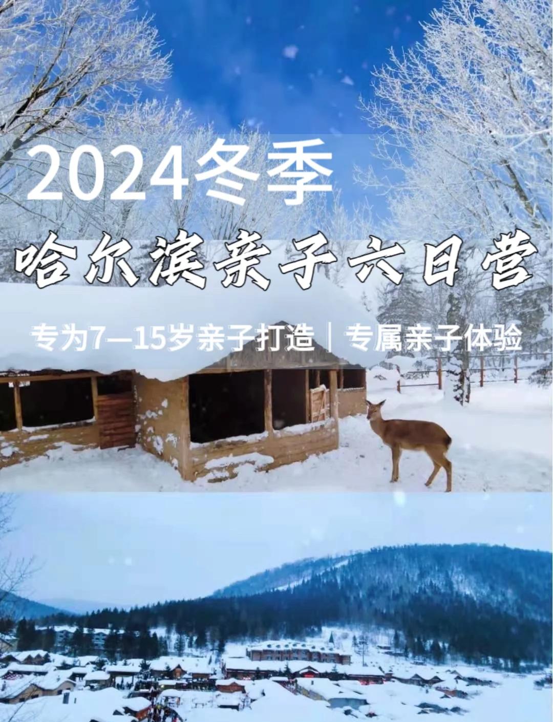 爸爸去哪冰雪王国下(爸爸去哪儿第一季雪乡之旅在线)