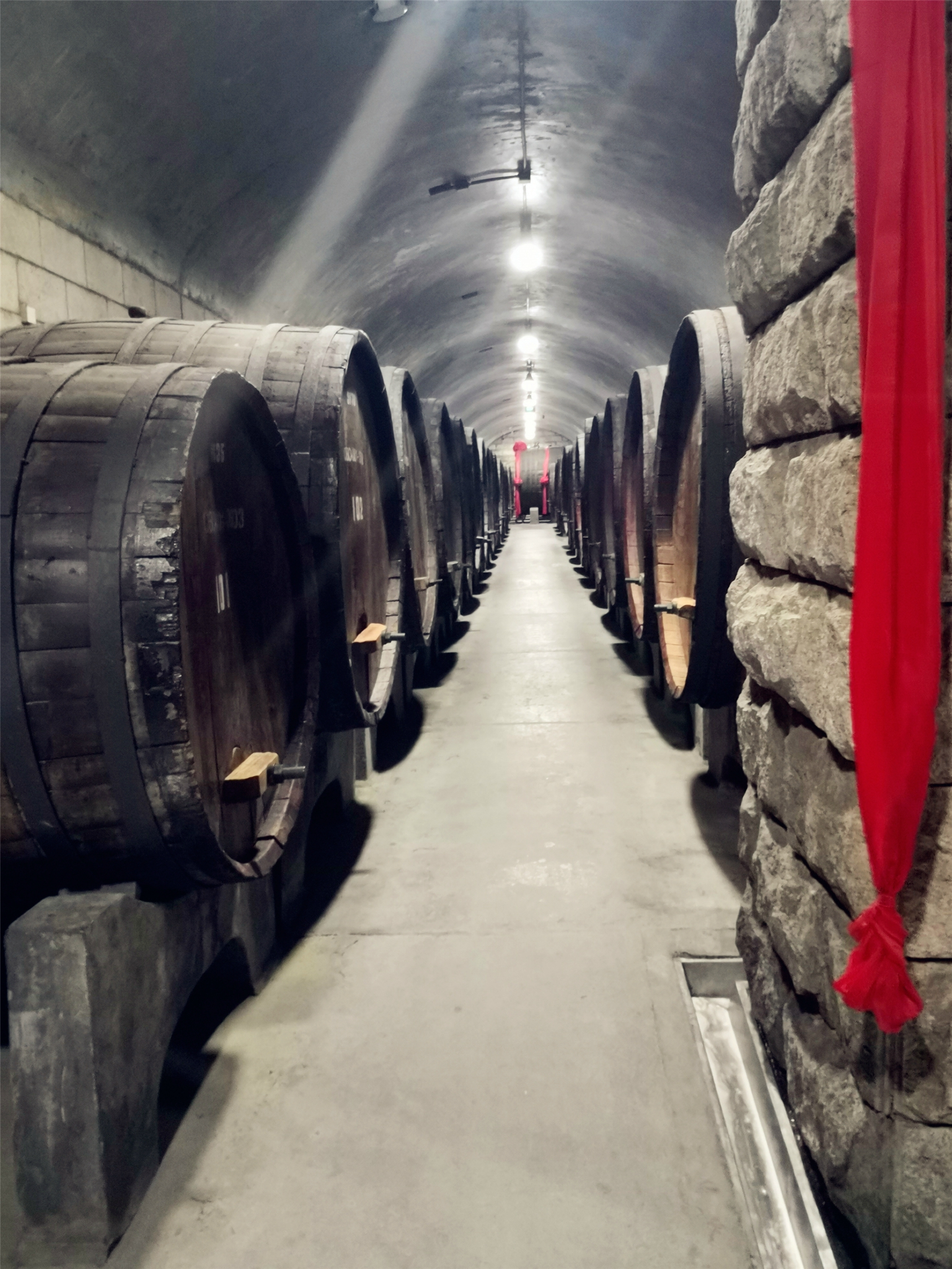 密室逃脱酒窖攻略(密室逃脱酒瓶子的摆放位置)