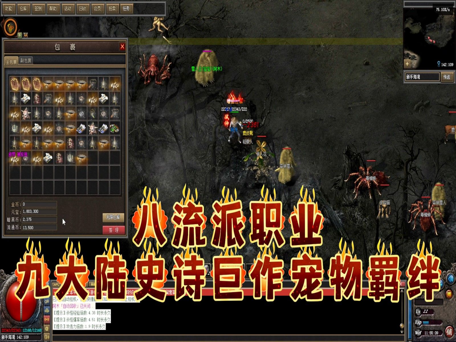 传奇神之领域版本带宠物(神之领域传奇单职业攻略地图)