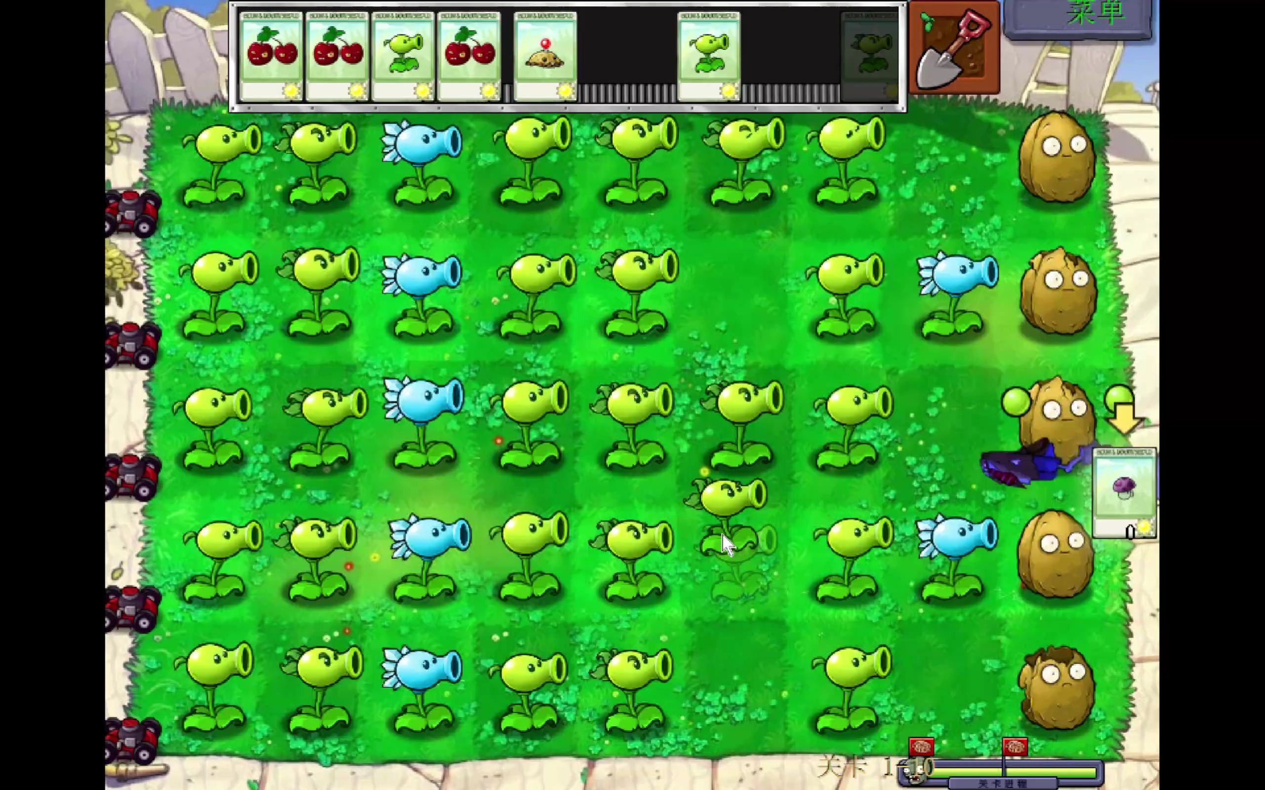 物大战僵尸破解版(中文版植物大战僵尸破解版)