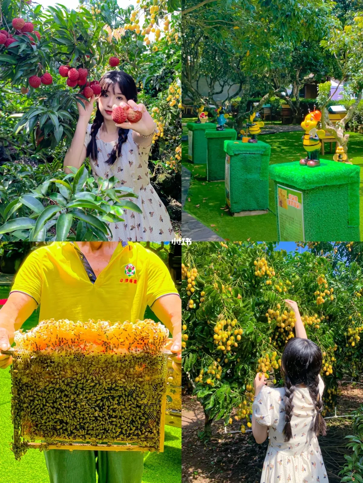 逃离小果园的攻略(逃离小果园的攻略视频)