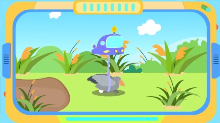 动物救援过关攻略(动物救援过关攻略图文)