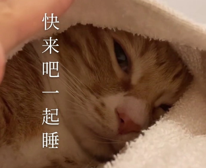 一起睡吗破解破解版(一起睡吗游戏全部指法)