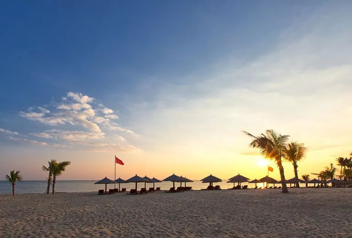 逃离椰子岛攻略(逃离椰子岛攻略大全)