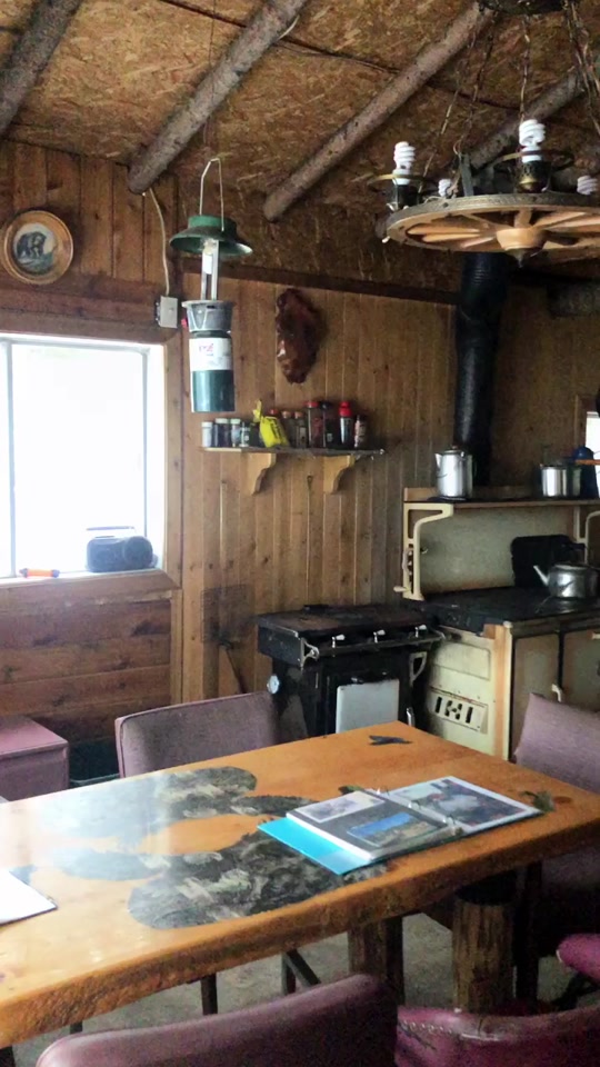 猎人小屋攻略(猎人小屋攻略图)