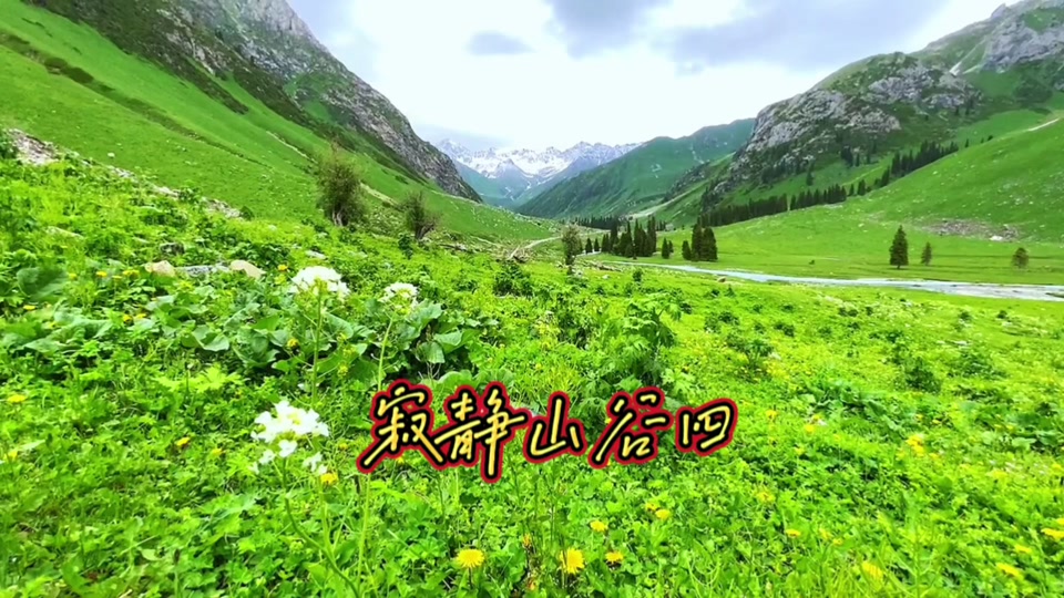 寂静山谷攻略(寂静山谷攻略大全)