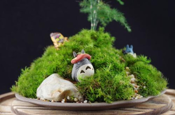 逃离绿色调房间攻略(逃离jk房间绿色方块在哪)