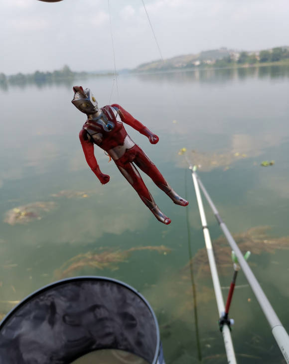 直播奥特曼钓鱼(奥特垂钓就变强)