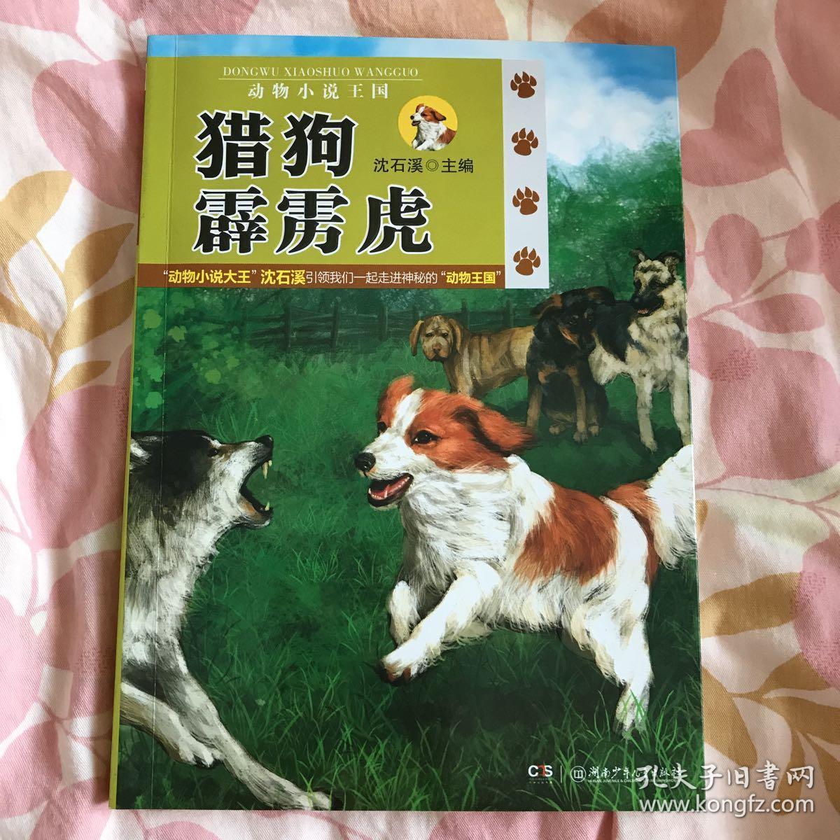 冰激凌王国小说(想象作文冰激凌王国的美味)