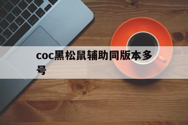 coc黑松鼠辅助同版本多号(部落冲突黑松鼠coc辅助v10免费版)
