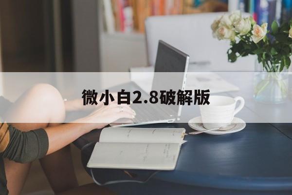 微小白2.8破解版(小白加速器破解版无限)